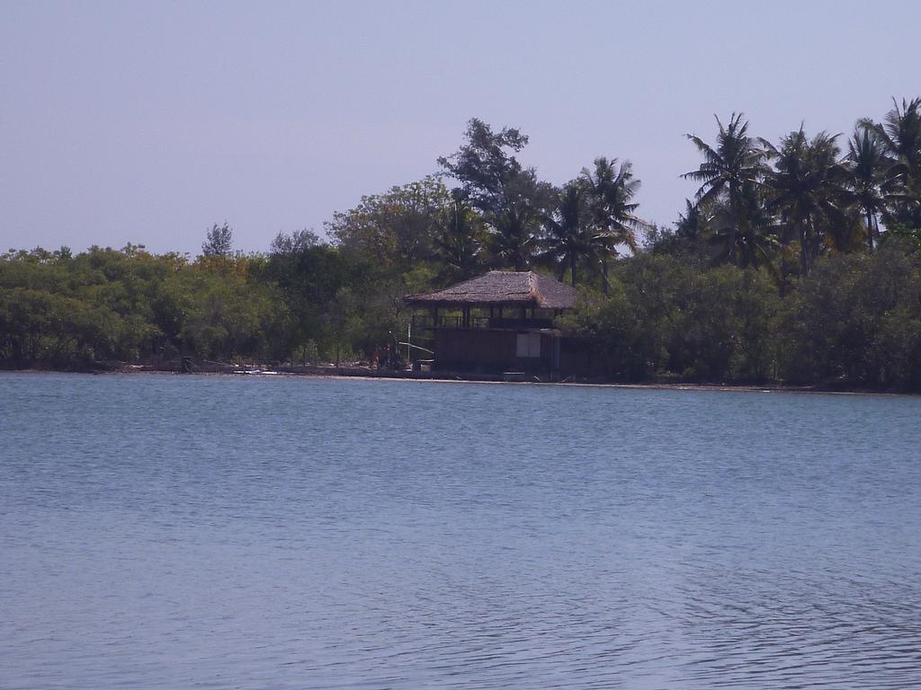Отель Rose Bungalow Pemenang Экстерьер фото