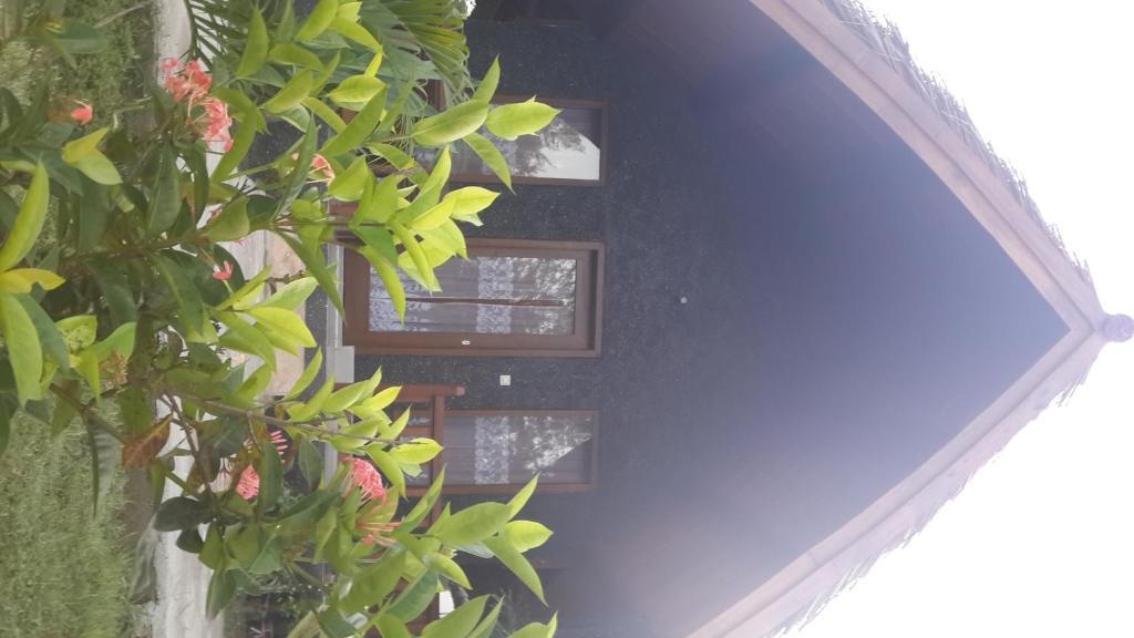 Отель Rose Bungalow Pemenang Экстерьер фото